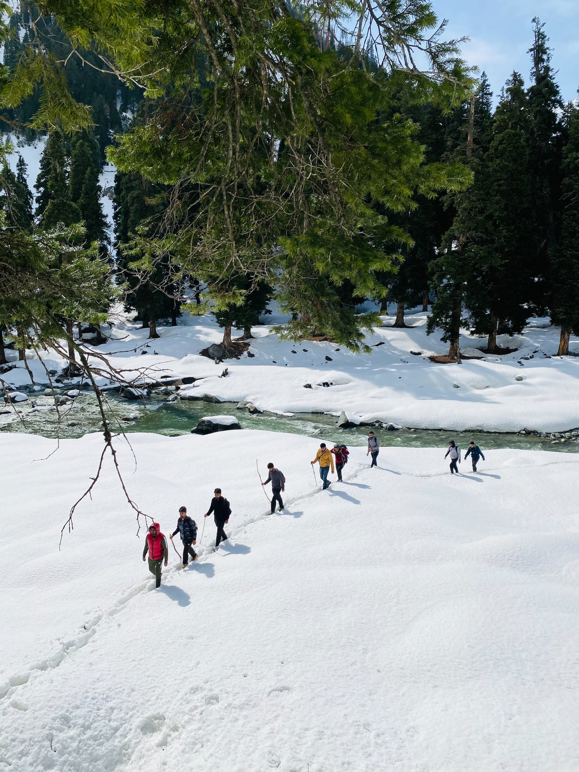 manali1